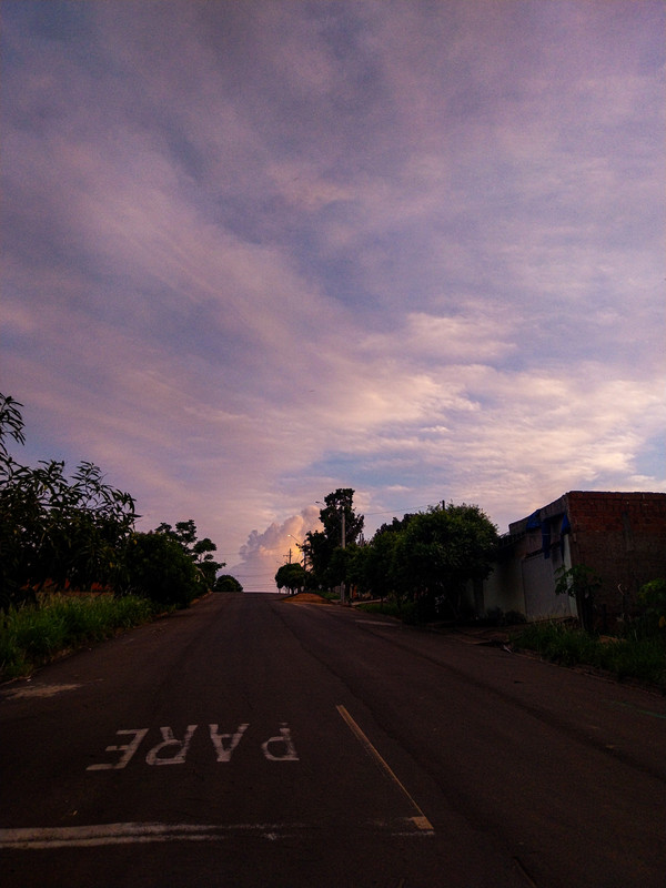 Longe