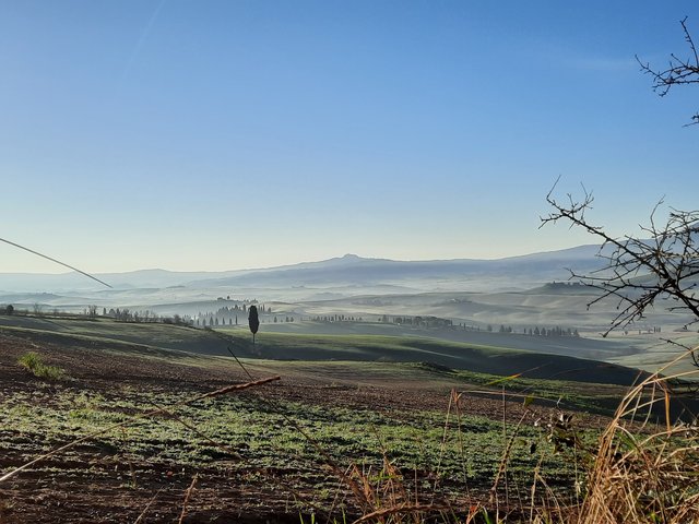 DIA 5. MONTICHIELLO-MONTEPULCCIANO. CASA DE MAXIMO. - Respirar y saborear la Toscana. 9 días (2)