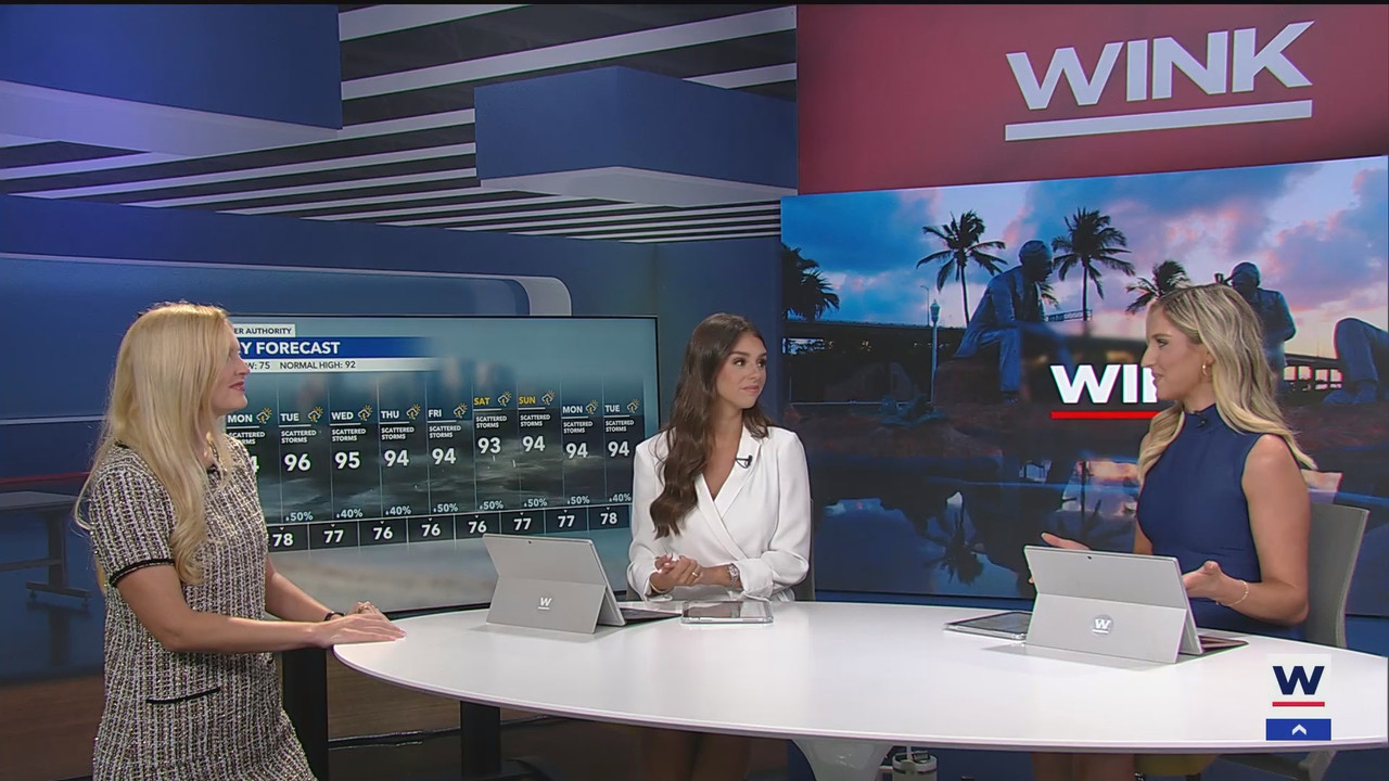 WINK News at 11_20250803_04000500.ts_snapshot_00.57.31.865
