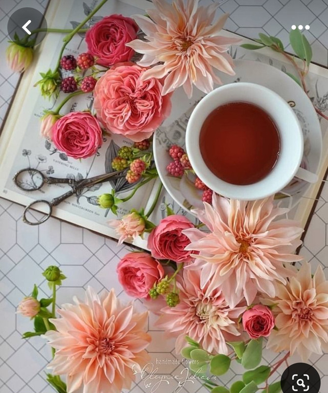 Screenshot_20240529_232156_Pinterest