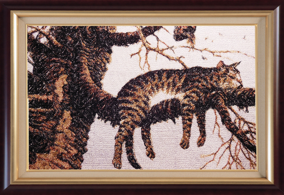 кот в рамке