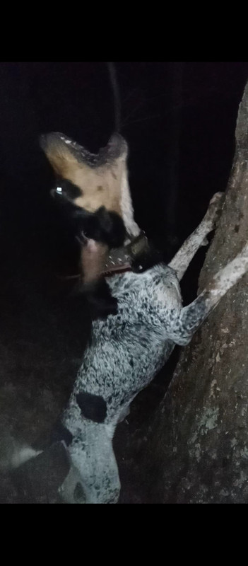 63383331-3F60-4A96-A89B-298794780A0B