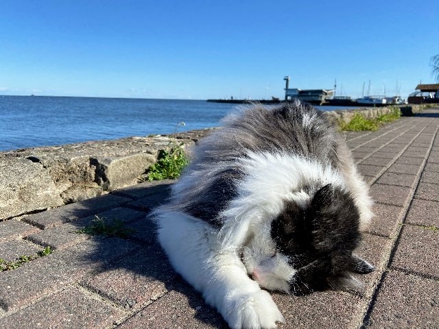 159-F4622-C05-A-4657-8585-AC57303-BDB1-D