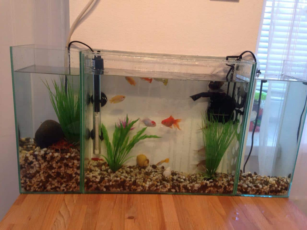 7c8261b22d7f1f5a39aac4bb4eb877e01cbebb21b40ed740