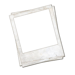 polaroid