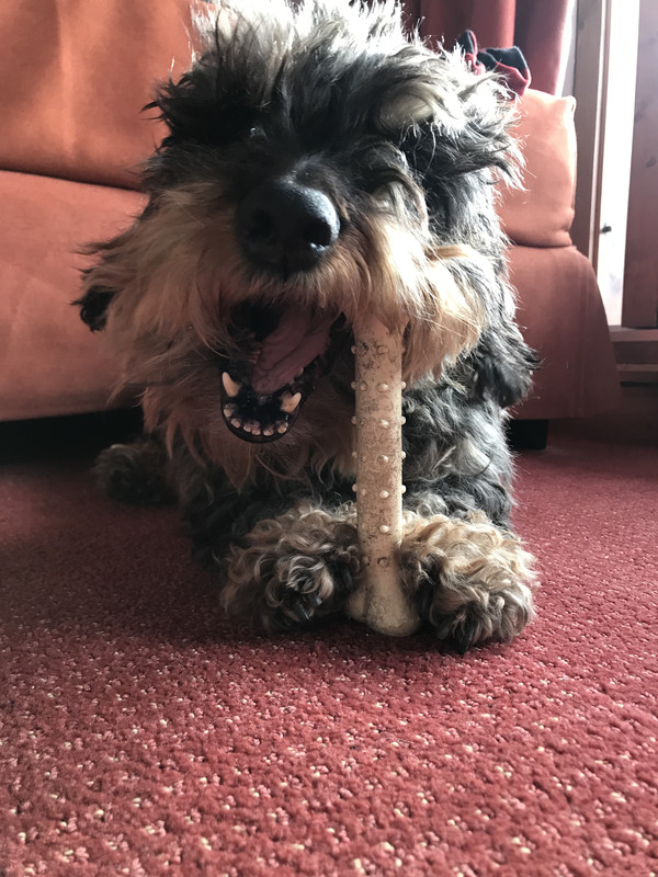 [Image: IMG-0893.jpg]