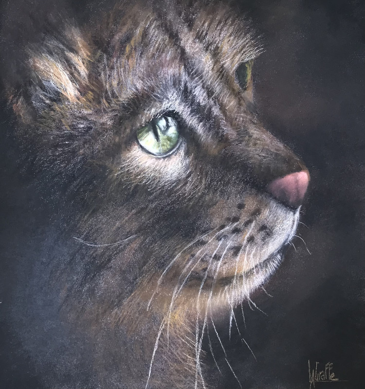 D1F3BF77-57FA-4DDE-A03E-1B8072032077