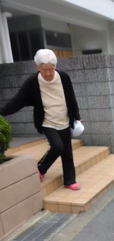 集団ストーカーマンション野口の在日朝鮮人C国スパイ婆