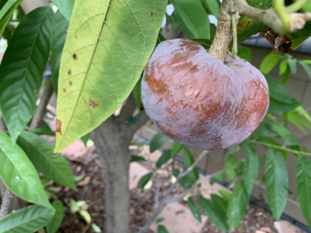 6BEFA06F-F217-4630-B02F-1613C509BF3F