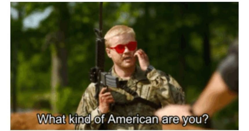 what-kind-of-american-are-you-v0-wip99zqn2y4d1.jpg