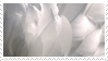 feather stamp