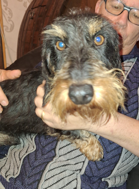 [Image: 20231210-163808.jpg]