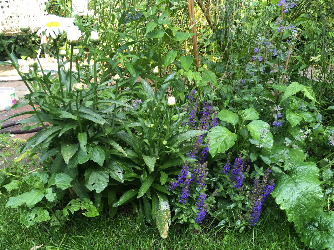 977A884C-FA17-4DE7-9A3B-41BFC28D25AF