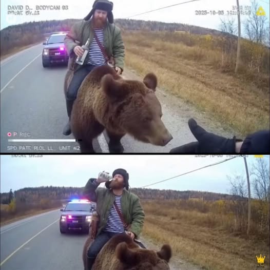 559004639 1198960975601235 2825169571795655902 n