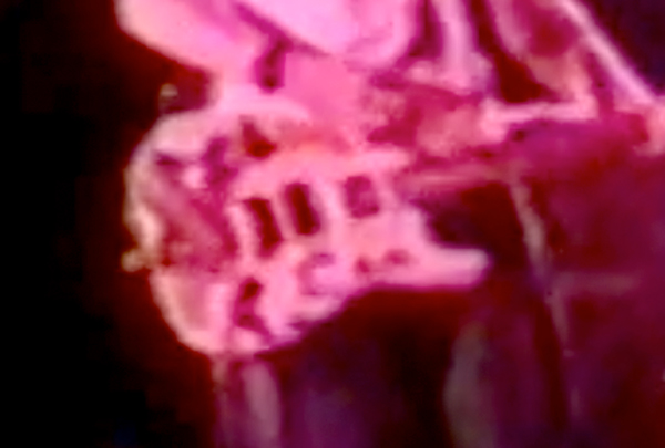 TD-04.jpg
