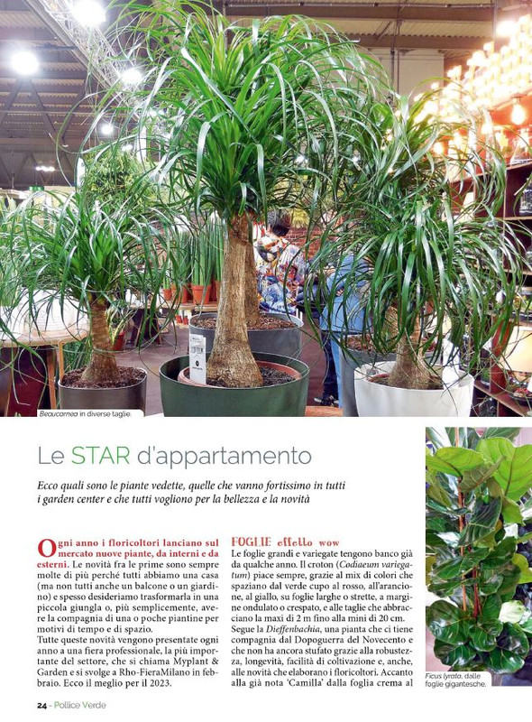 Pol Ver Mag 2023 (3)