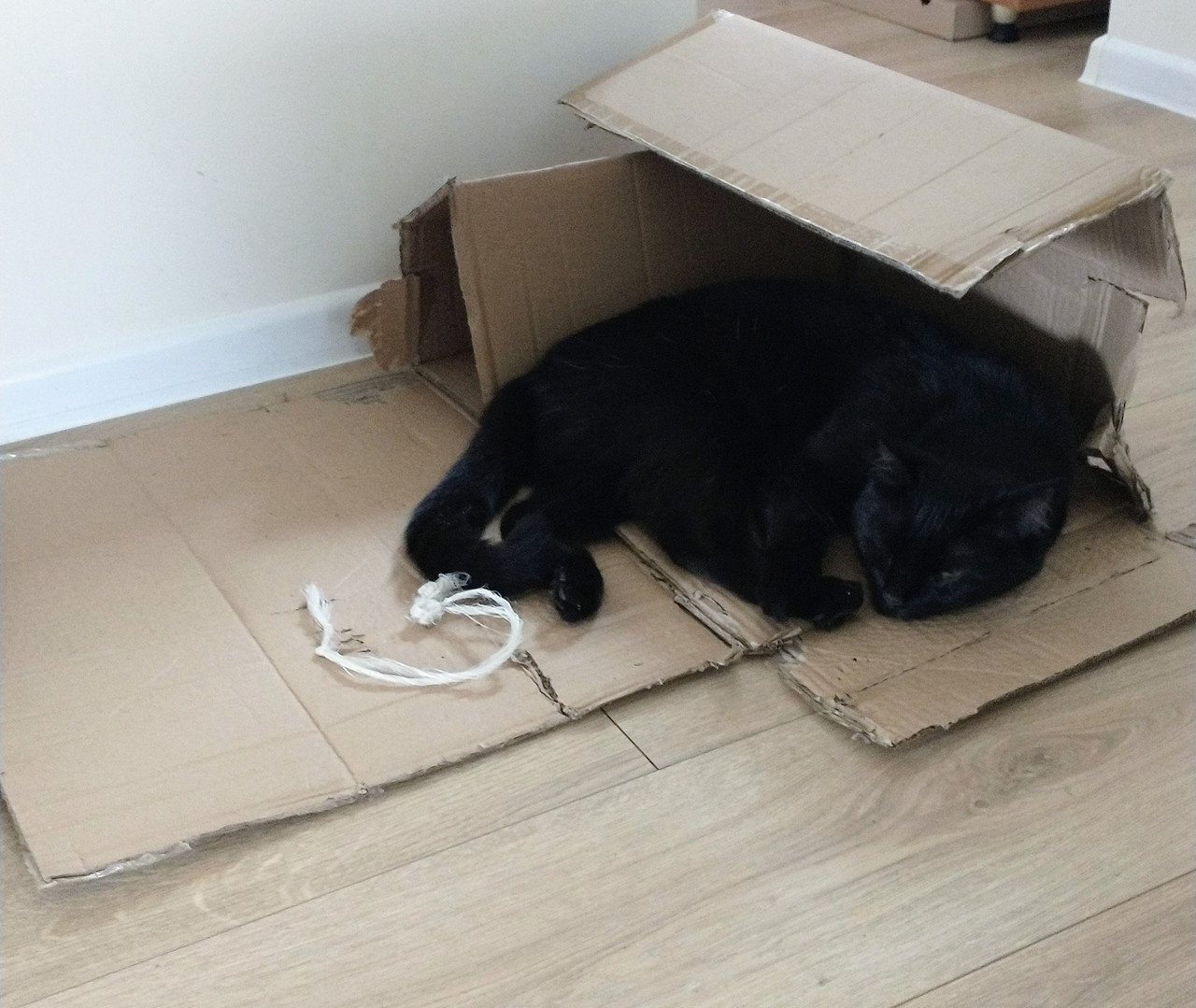 IMG 20251111 124439241 2