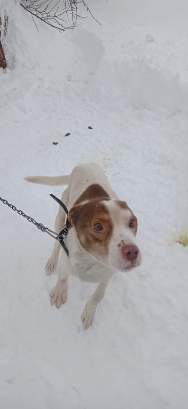 WhatsApp Image 2023-03-13 at 19.48.41 (1)