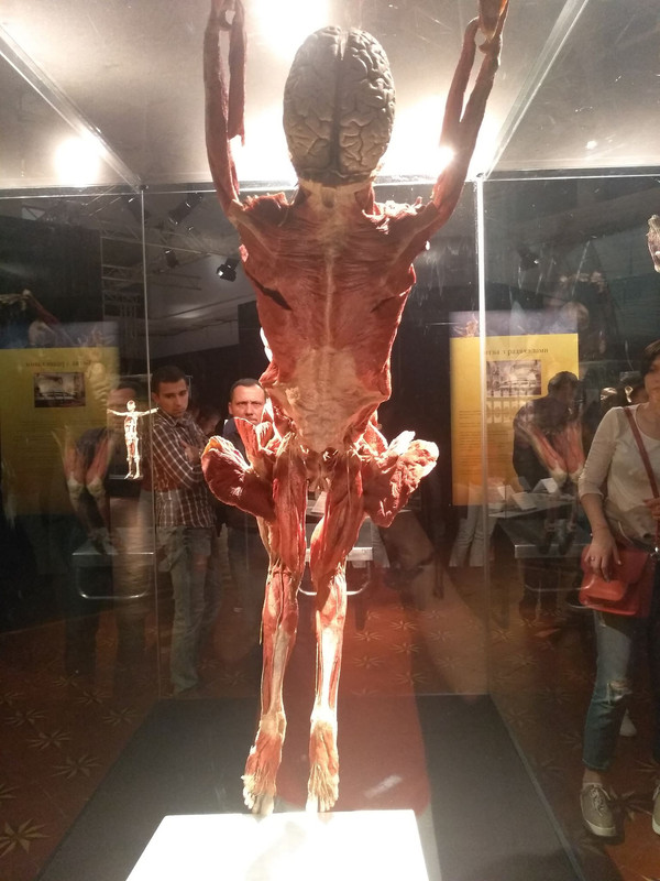 72627982_2363832930497164_486938670188724224_n