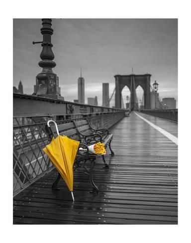yellowbrolly.jpg