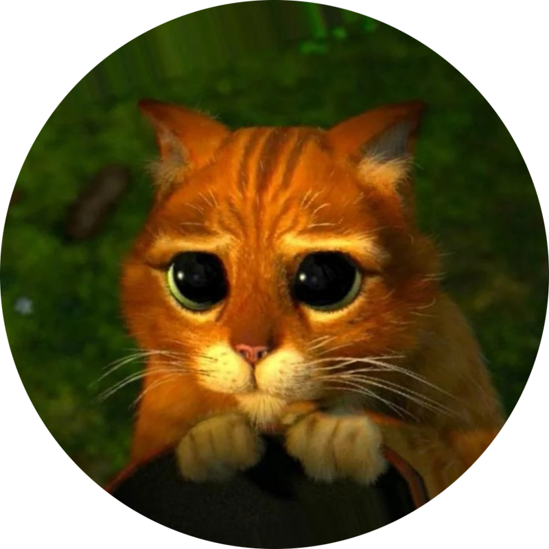 ca9d4a32b9068a50ccd2e0c007a09634.png