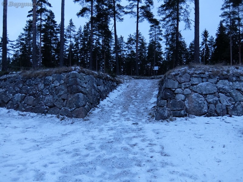 DSCF6492