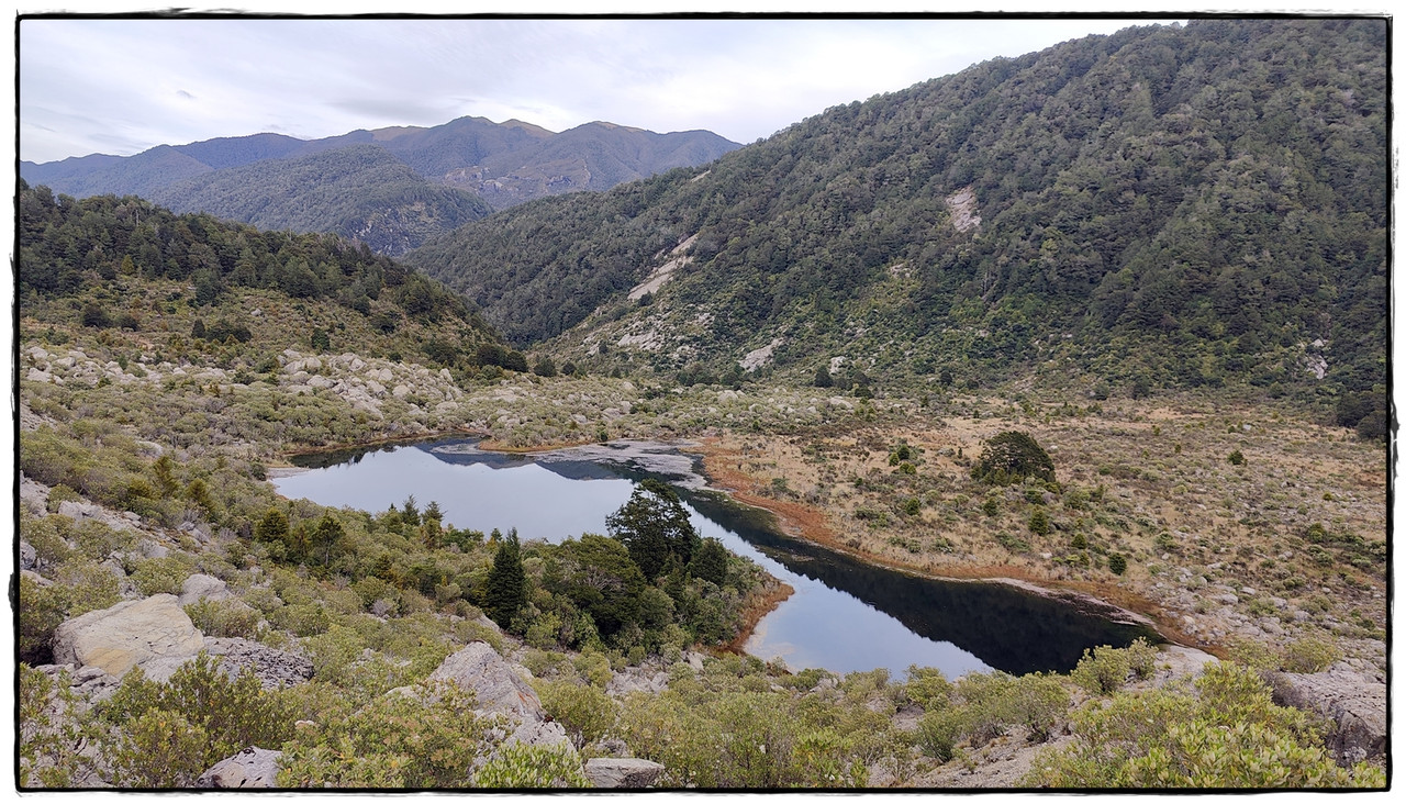 The Old Ghost Road (marzo 2024) - Escapadas y rutas por la Nueva Zelanda menos conocida (59)