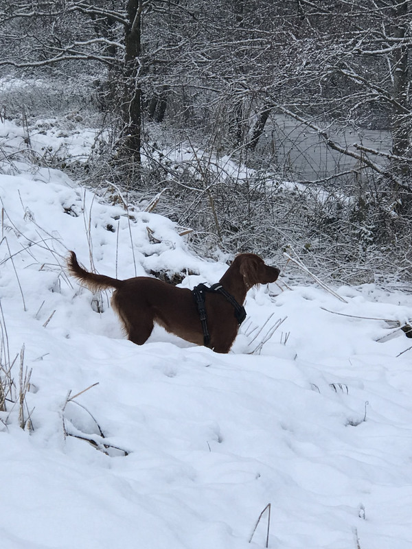 AEAB5CE8 7B58 4395 AA2A C0779597372F