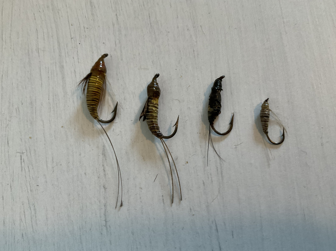 AE9B45A1-79DD-44D7-BAD7-908DD66B8F2D