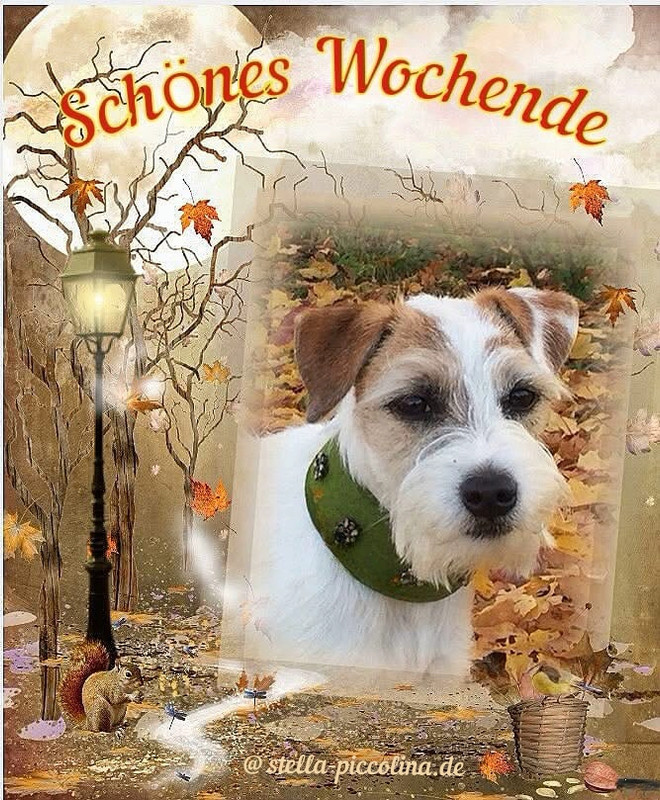 An den Beitrag angehängtes Bild: https://i.postimg.cc/8PgHBNcQ/WOCHENSCHO-N-39.jpg