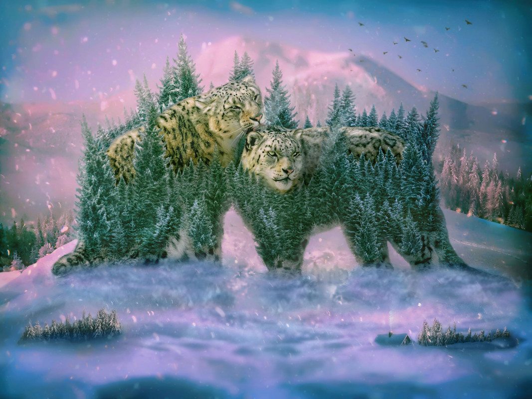 1--�����-14-��������