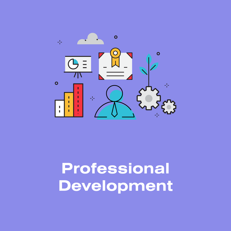 PROFESSIONAL DEVELOPMENT