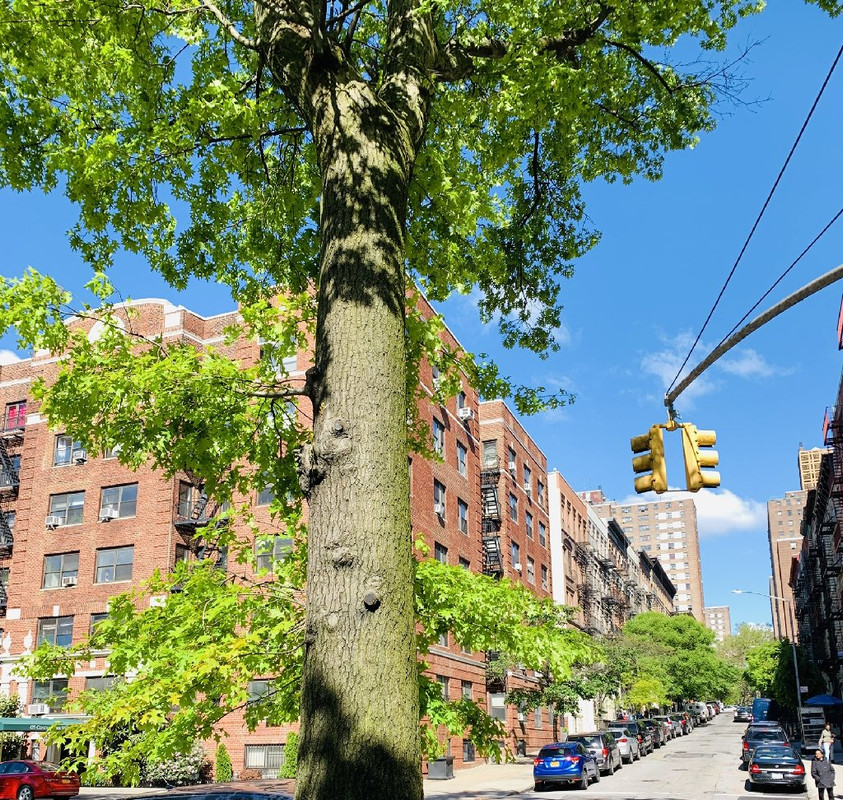 D6556803-4759-4D4E-8BE6-2C7C7A561225