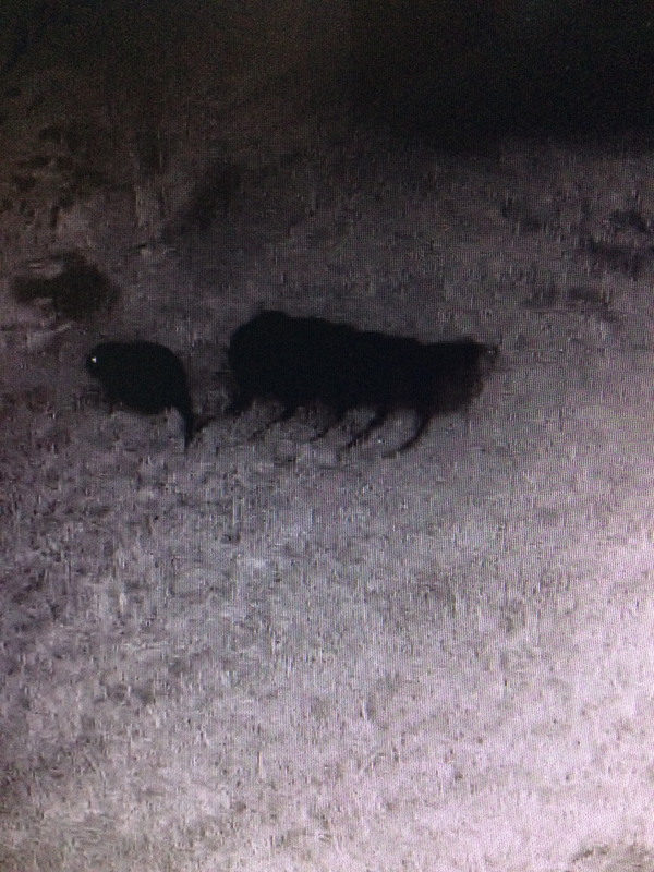 229DE61C-042D-4B34-9F20-B0F0709D03A9