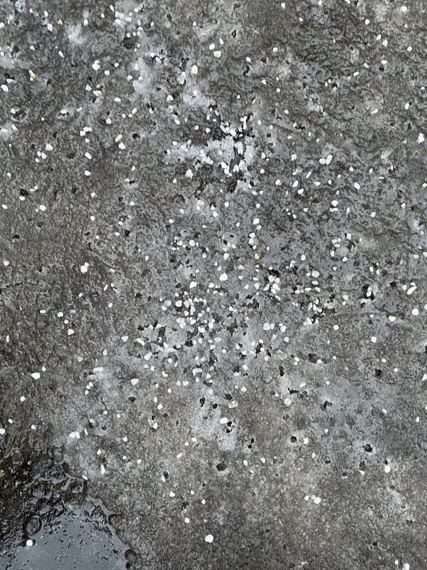 48F64488-A277-4B21-BAEC-B45C7855E312