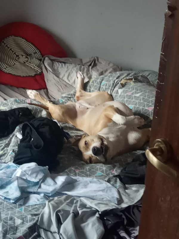 6938FA86-6023-472E-B852-A55137FAAE9A