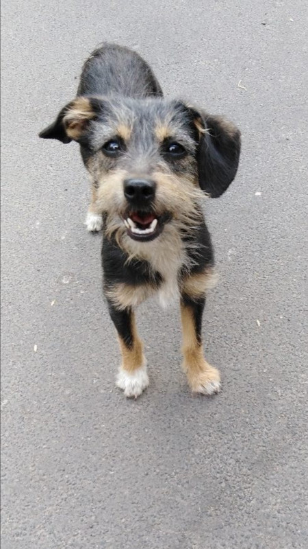 4EF35547-BED6-4F7E-9F8D-92208379E274