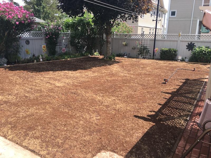 2017_Backyard_Seed_Down_Peatmoss_1_small