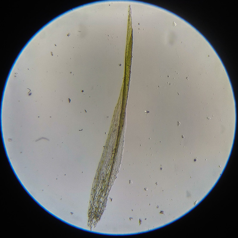 IMG 20250614 124329 HDR