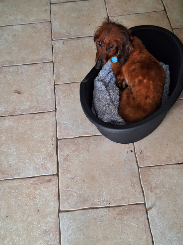 [Image: 20240314-105343.jpg]