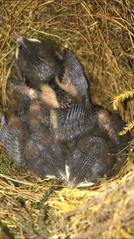 A4236865-A16E-4410-9A99-1D49D27AF8C9