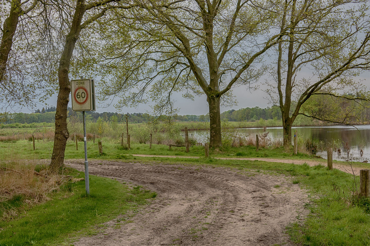 Fotografie