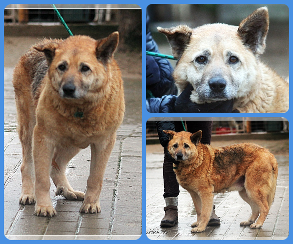 BeFunky-collage (24)