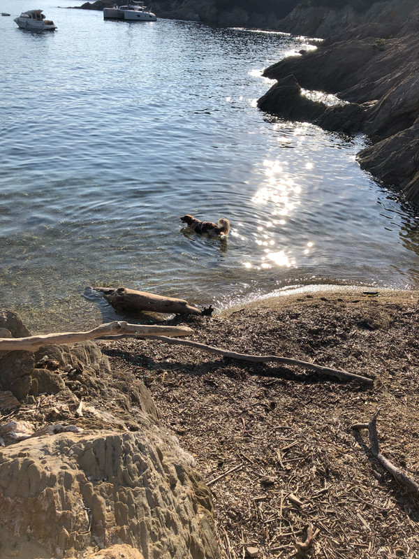 611E3795-BD60-4304-839D-9890ED33617D