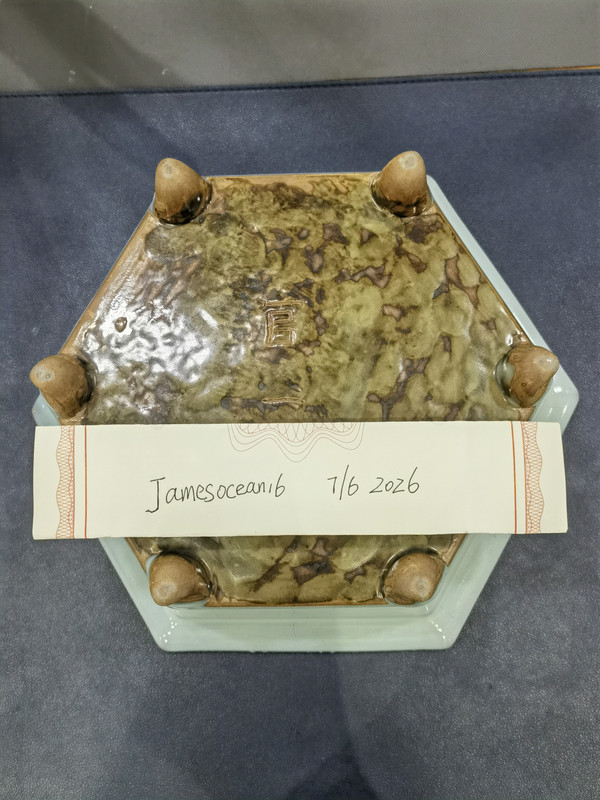 IMG 20260706 144806