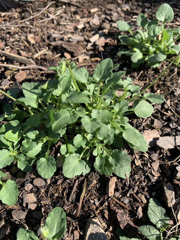 A8F3FDE1-82D4-4022-A414-3FD30A5A64AF