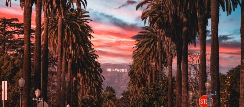 Founders-Only VIP Roundtables