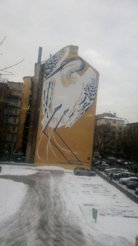 Kép