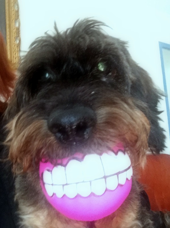 [Image: IMG-2340.jpg]