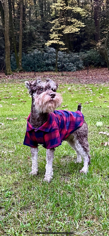 D69FB3AE-7246-4330-8539-F6DD1D03A050